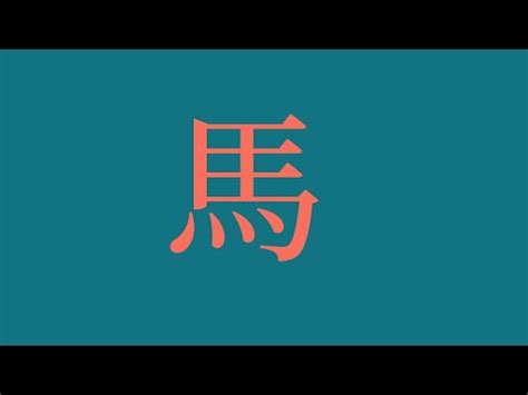 屬馬姓名學|【屬馬姓名學】生肖馬寶寶取名秘笈大全！避開禁忌字，迎來福氣。